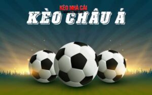 Tỷ lệ cá cược bóng đá - Trải nghiệm mới về cá cược thể thao